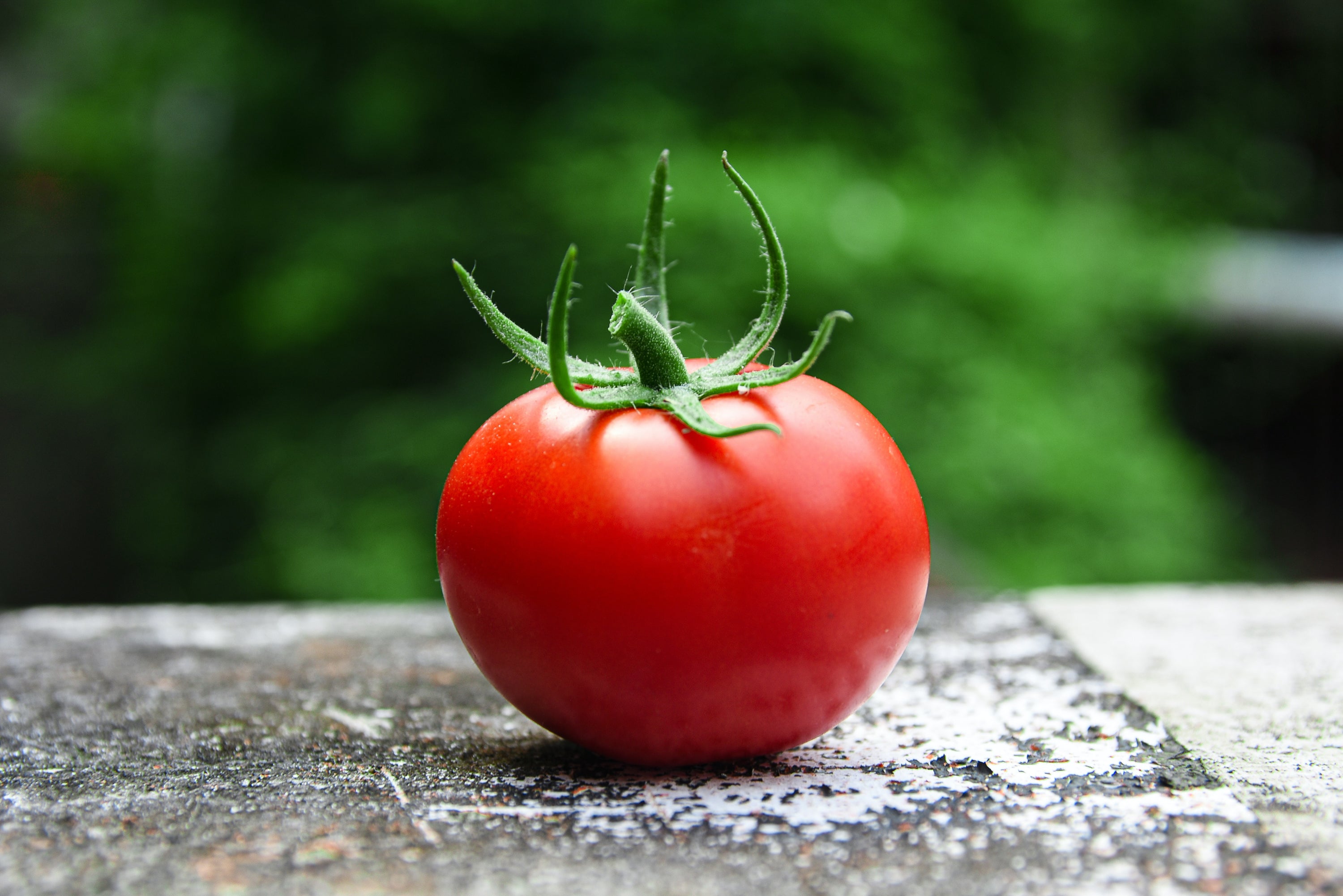 Your Ultimate Guide to Tomatoes on Your Skin